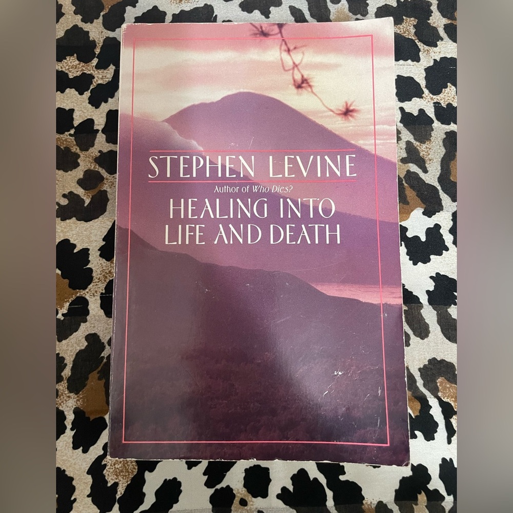 “Healing into Life and Death “ by Stephen Levine